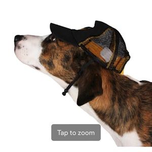 Yellowstone trucker hat for dogs l/xl
